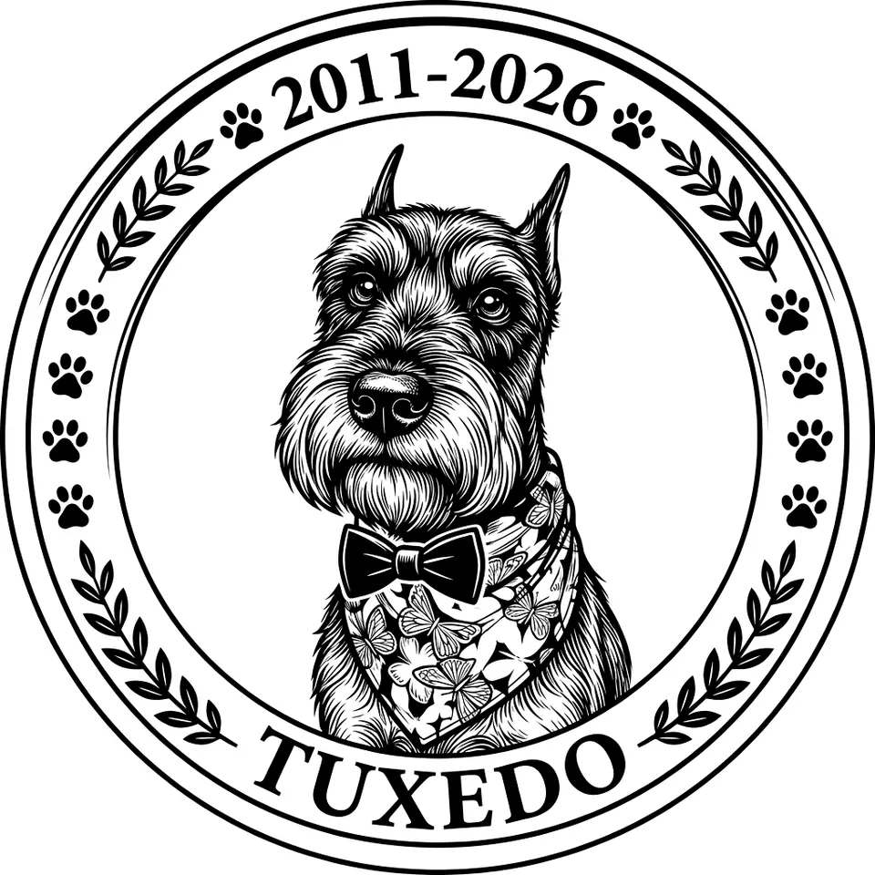 Design by Scott Bedow
