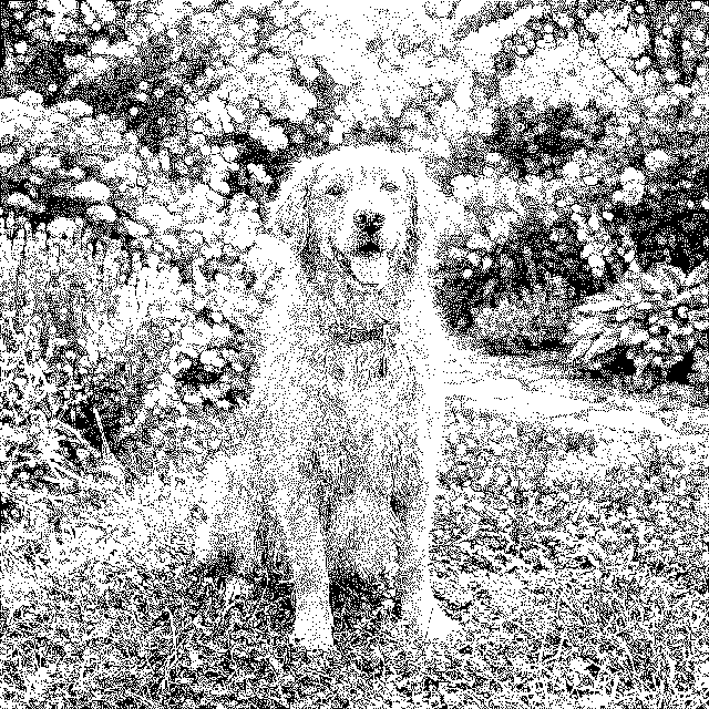 The same photo dithered to a 1-bit black-and-white dot pattern for laser engraving